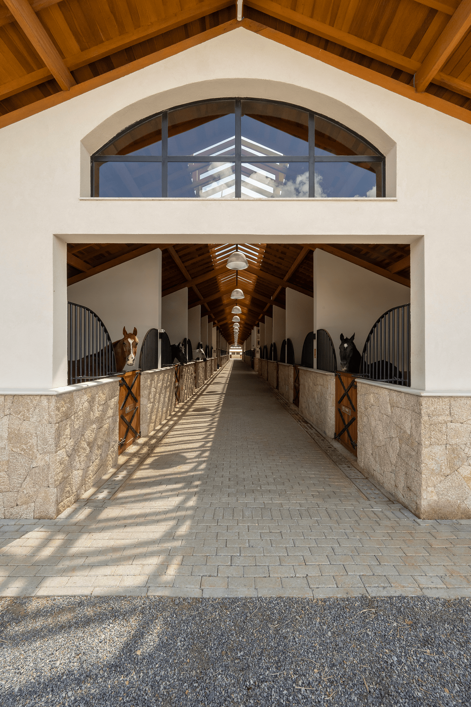 Cuidados Essenciais com o Cavalo Antes e Depois do Passeio - inspiração 2