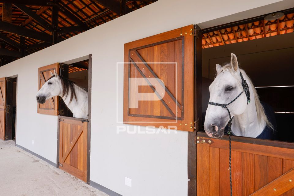 O Que Vestir para um Dia de Cavalgada? - inspiração 1