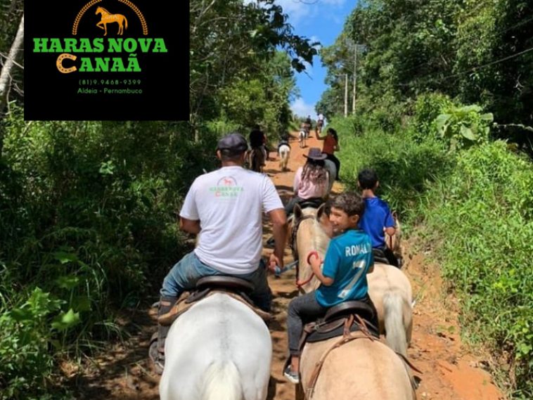 Eventos e Lazer nos Haras: Mais Que Cavalo - inspiração 1