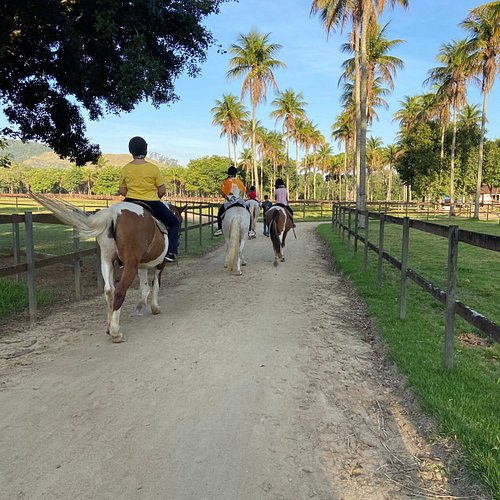 Eventos e Lazer nos Haras: Mais Que Cavalo - inspiração 2