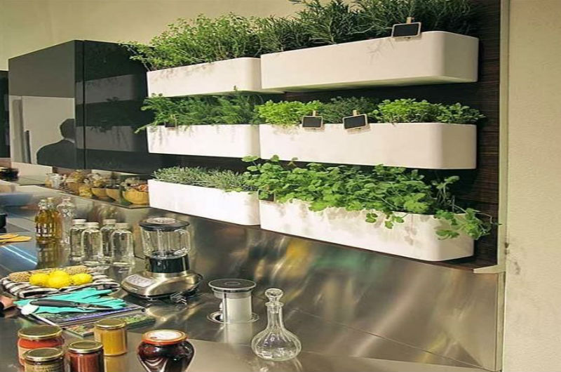 O Substrato Ideal: Nutrição Para o Sucesso - inspiração 2