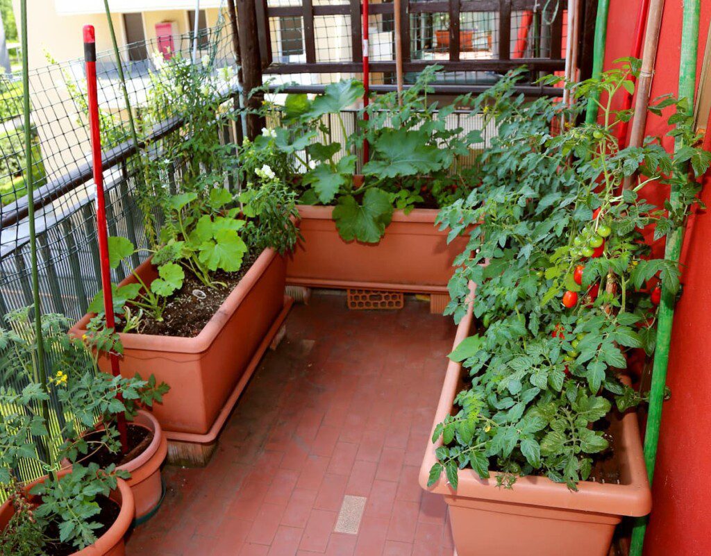 Plantando Sementes ou Mudas: O Começo de Tudo - inspiração 2