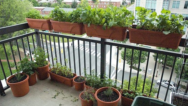 O Poder da Irrigação: Água na Medida Certa - inspiração 2