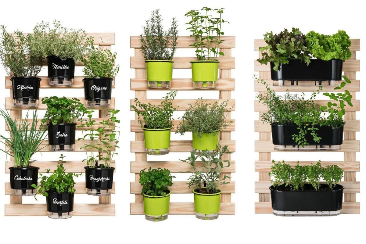 Tomates: Uma Explosão de Sabor e Antioxidantes ao Seu Alcance - inspiração 2