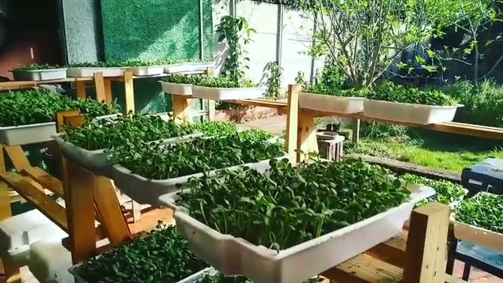 Cenouras e Beterrabas: Raízes Doces com Moderação e Atenção - inspiração 2