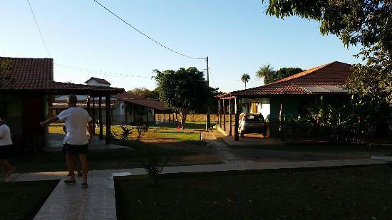 Trilhas e Passeios: Conecte-se com a Fauna e Flora - inspiração 2