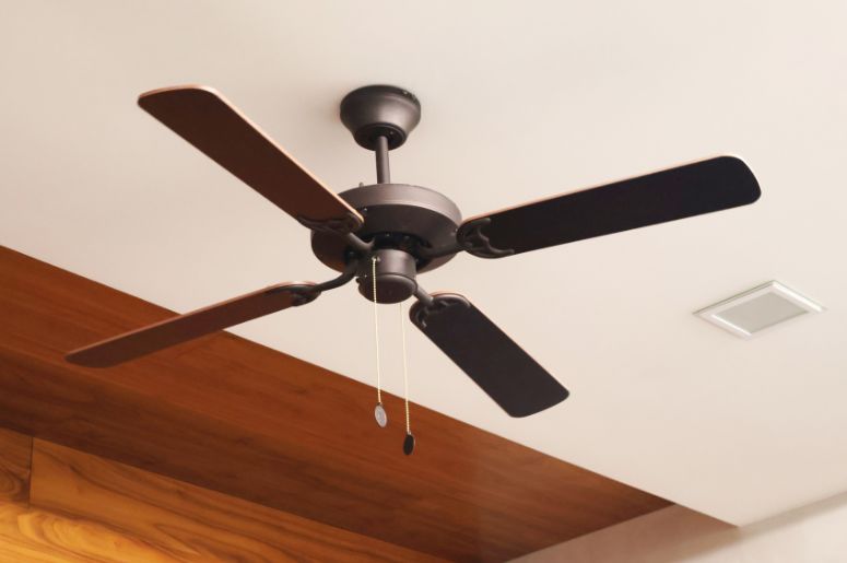 Ferramentas Essenciais que Você Vai Precisar - inspiração 1