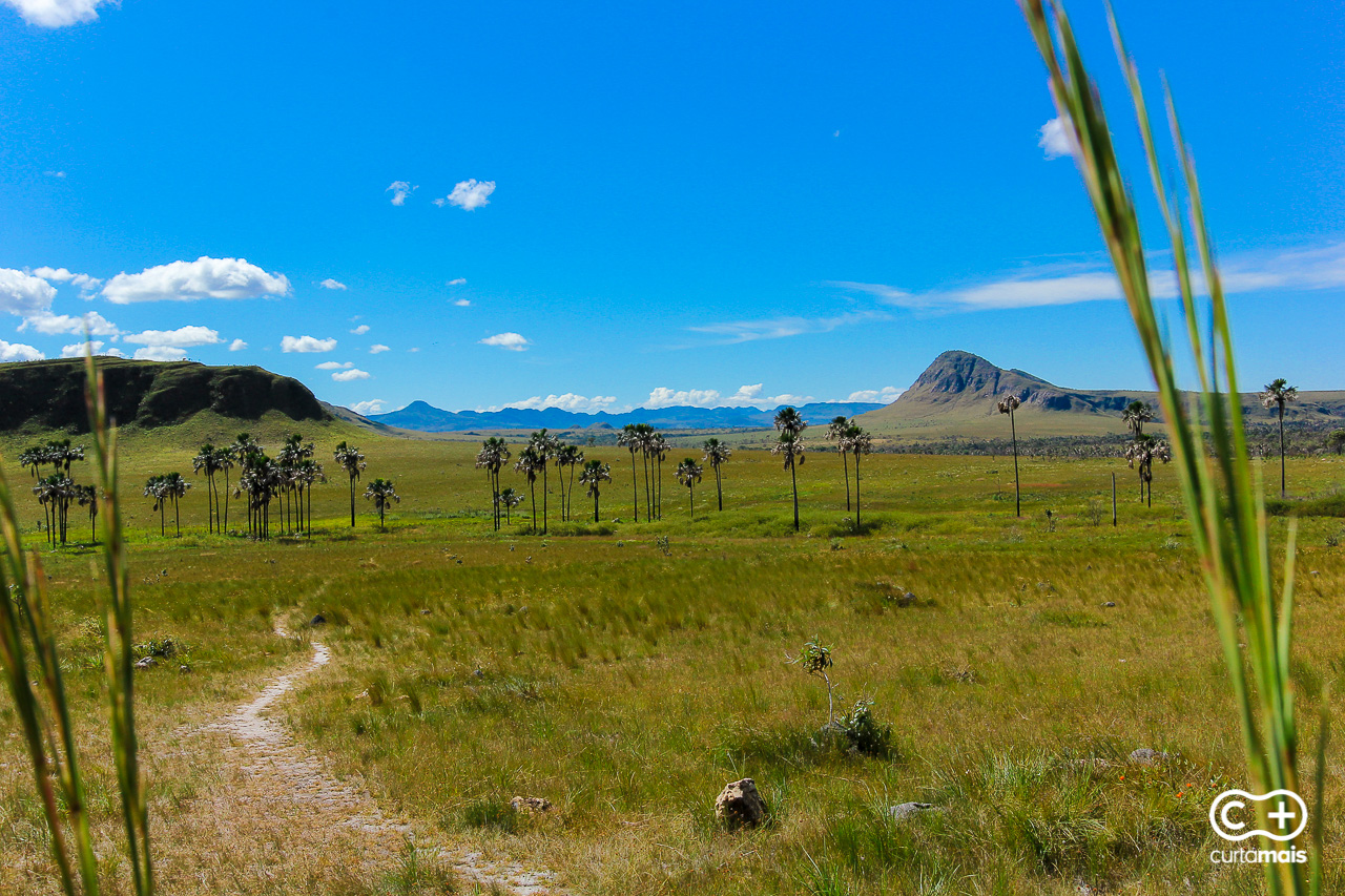 A Arquitetura e o Design: Harmonizando com a Natureza Local - inspiração 2