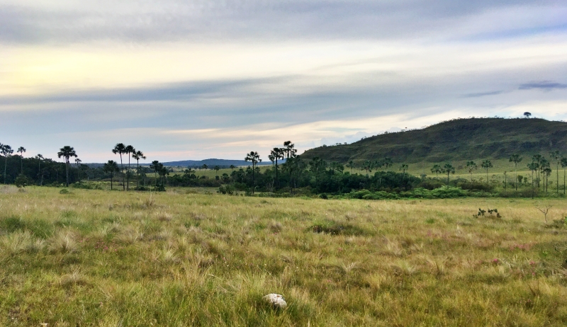 Os Caminhos e Trilhas: Uma Jornada de Descoberta Interior - inspiração 2