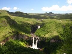 Fotografia no Jardim: Capturando a Essência Mística - inspiração 1