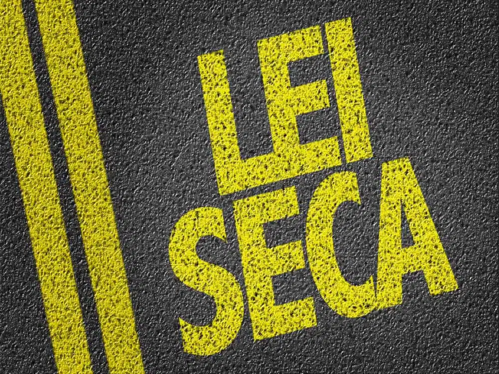 Seu direito de defesa: como recorrer de uma multa da Lei Seca - inspiração 2