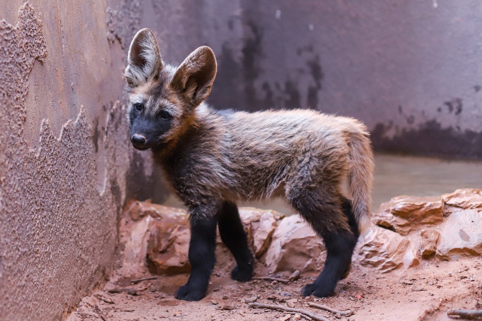 Os Melhores Horários para um Encontro Silencioso - inspiração 2