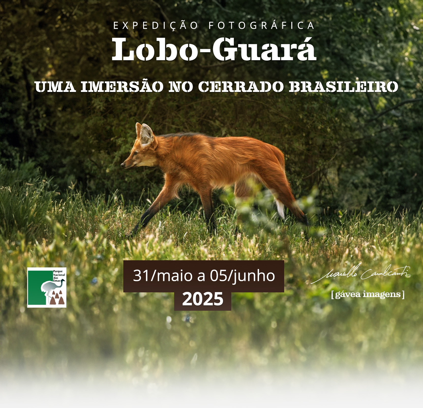 A Importância da Paciência: Cada Minuto Conta - inspiração 1