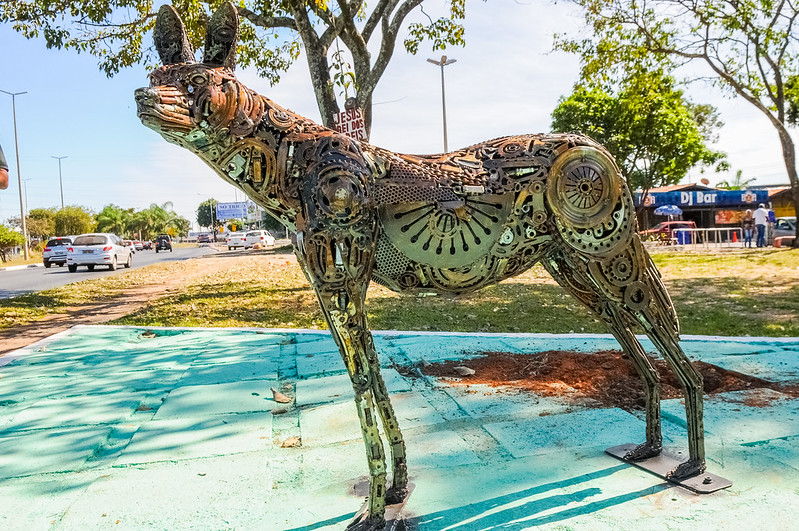 Comportamento Observado: Entendendo os Sinais Naturais - inspiração 1