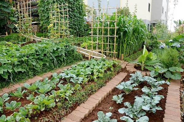 Contenção é Vida: Barragens Naturais e Estruturas de Apoio - inspiração 1