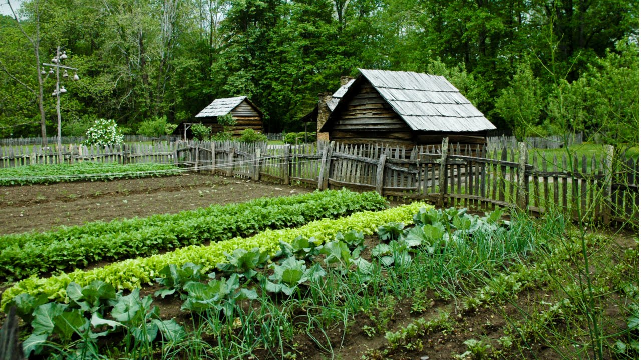 Escolha Sábia das Culturas: Plantas que Amam o Declive - inspiração 1