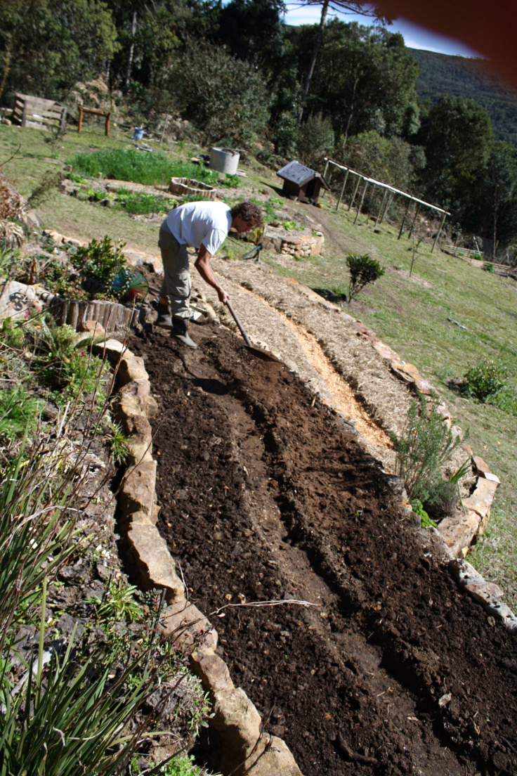 Rotação de Culturas: Mantendo a Vitalidade do Solo - inspiração 1