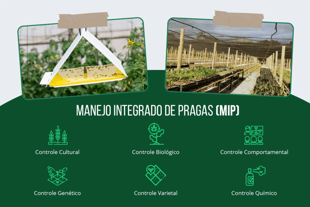 Manutenção e Acompanhamento: Paz de Espírito Duradoura - inspiração 1