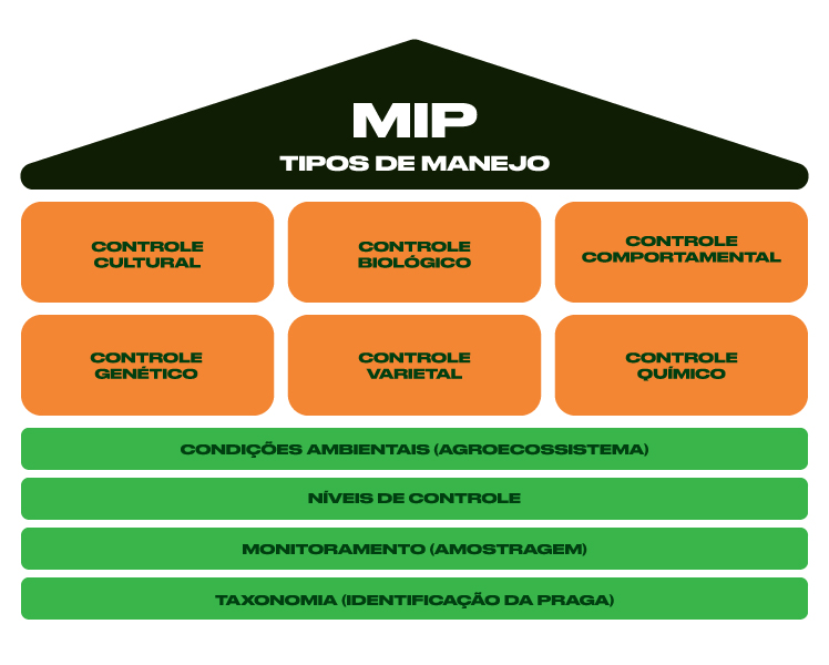 Ações Preventivas: Barreira Forte Contra Invasores - inspiração 1