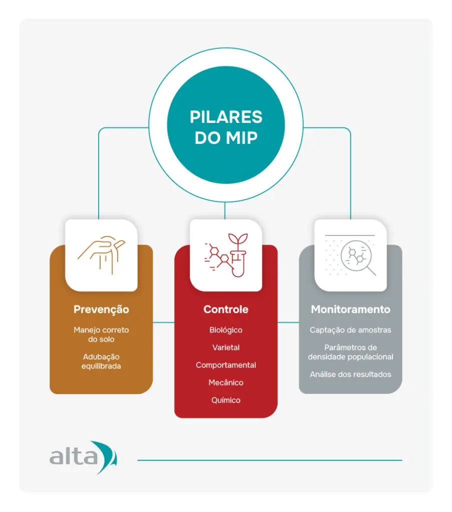Métodos Biológicos: A Natureza Como Sua Aliada - inspiração 1