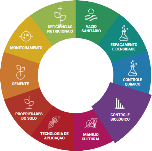 Controle Mecânico: Mãos à Obra Sem Venenos - inspiração 1