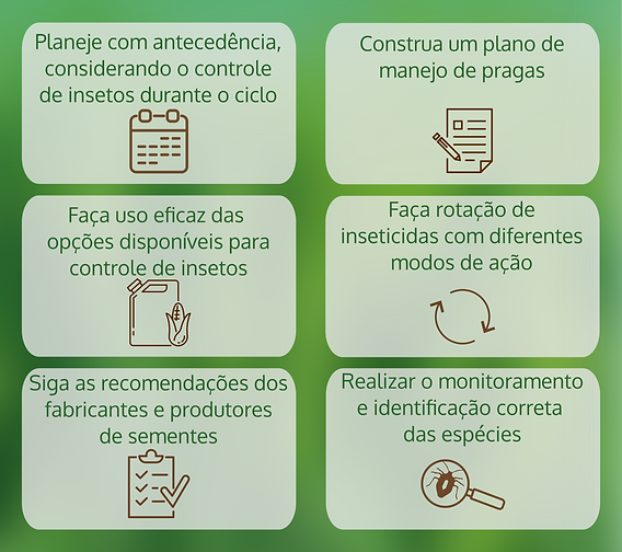 Soluções Naturais: Receitas Caseiras Poderosas - inspiração 2