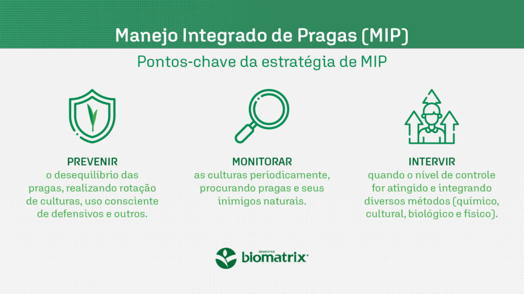 O Papel do Ambiente: Limpeza Que Afasta Pragas - inspiração 1