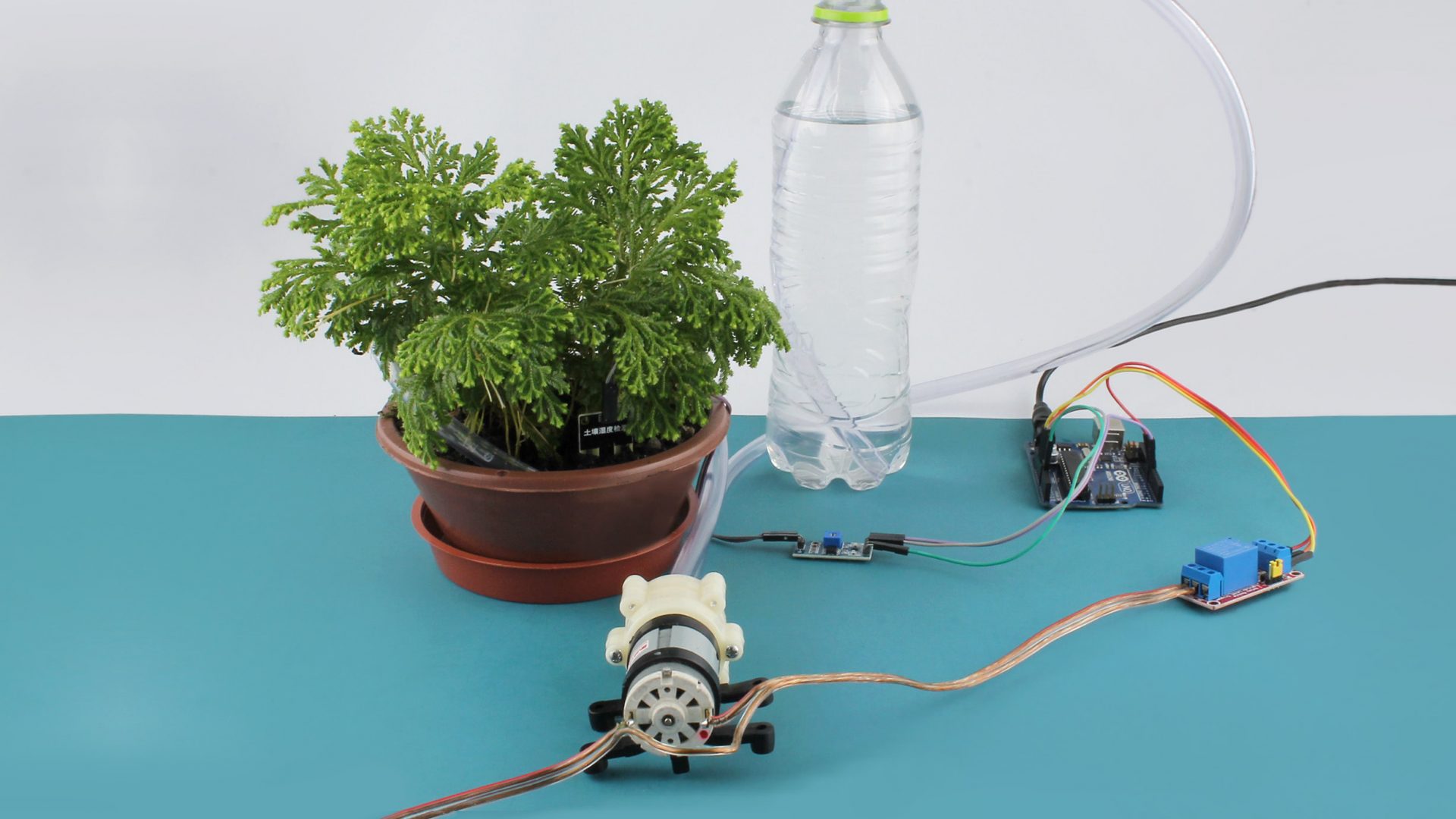 10. Automatização Opcional: Adicionando um Timer para Máxima Conveniência - inspiração 1