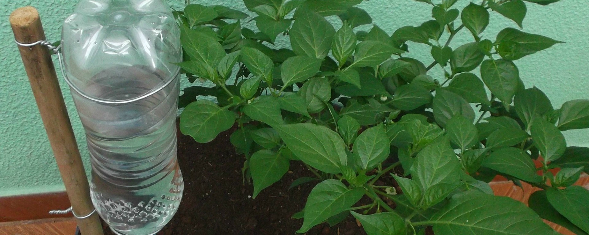 2. A Base da Horta: Preparando o Terreno e Definindo o Layout do Sistema - inspiração 2