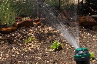 4. Distribuição Precisa: Instalando a Tubulação Principal (Mangueira ou Tubo PVC) - inspiração 2