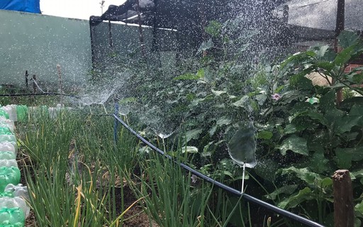 5. O Coração do Gotejamento: Posicionando e Conectando os Gotejadores - inspiração 1