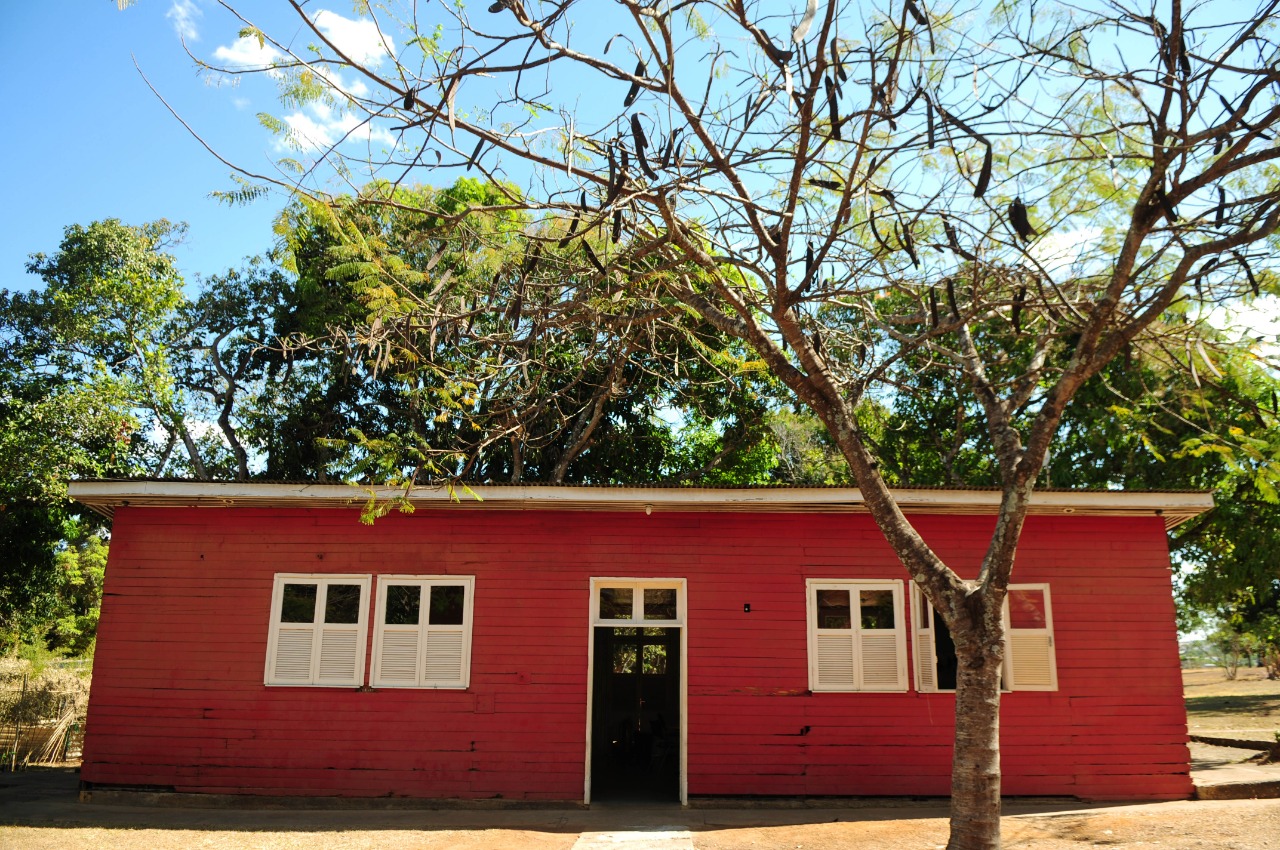 Cores Que Inspiram: A Paleta Visual da Memória Candanga - inspiração 2