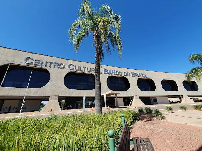 Museu das Conchas: Um Mergulho Inesperado na Vida Marinha - inspiração 1