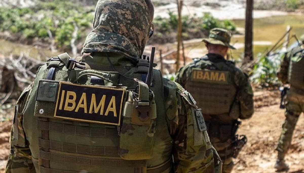 Fiscalização e Combate a Crimes Ambientais - inspiração 2