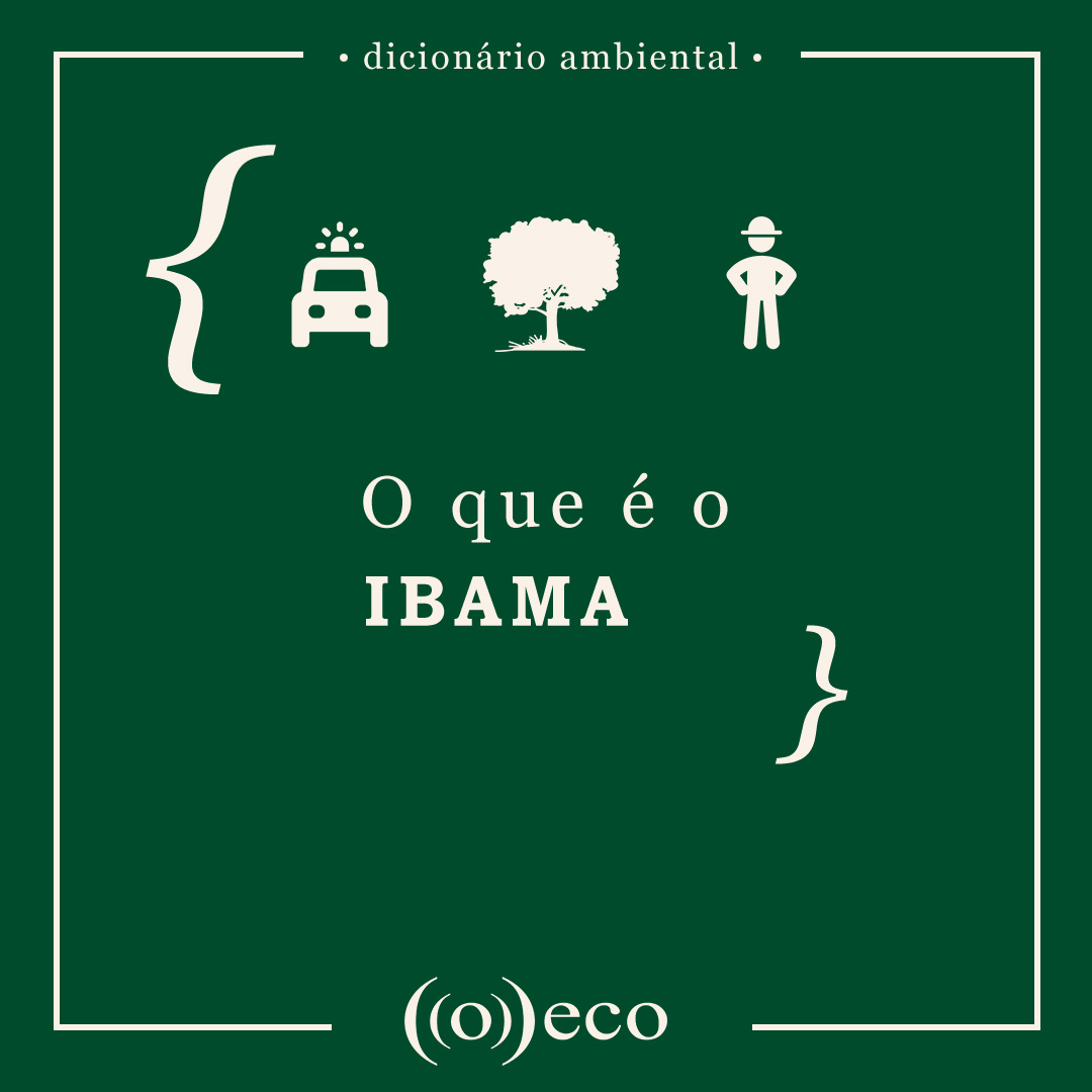 Controle e Prevenção de Desastres Ecológicos - inspiração 2