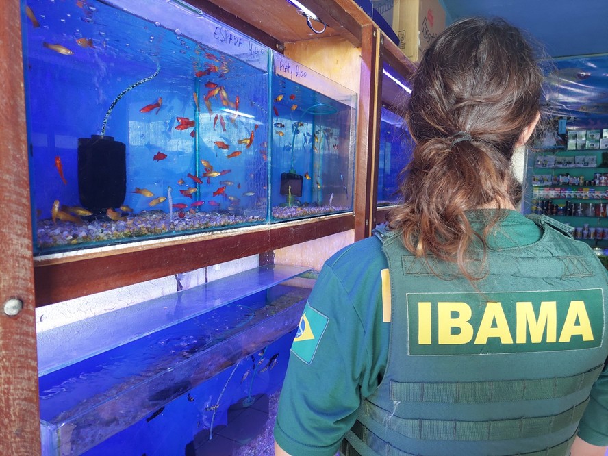 Controle de Substâncias Químicas e Agrotóxicos - inspiração 1