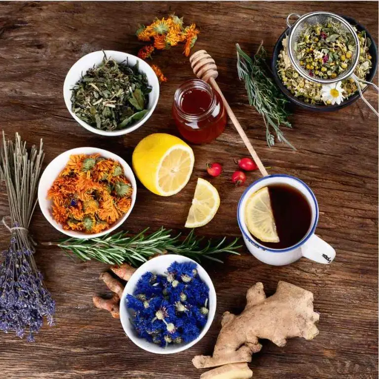 A Alimentação Como Remédio: Nutrição Personalizada para o Seu Dosha - inspiração 2