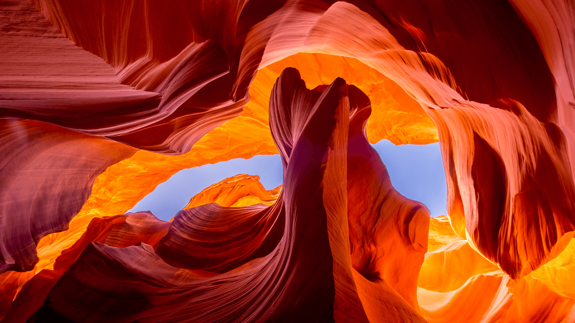 Fitoterapia Ayurvédica: O Poder das Ervas Para Sua Saúde - inspiração 1