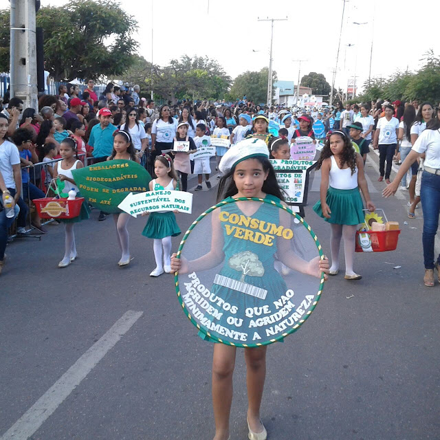 Objetivos do Desfile: Exaltar a Pátria e Unir o Povo - inspiração 2