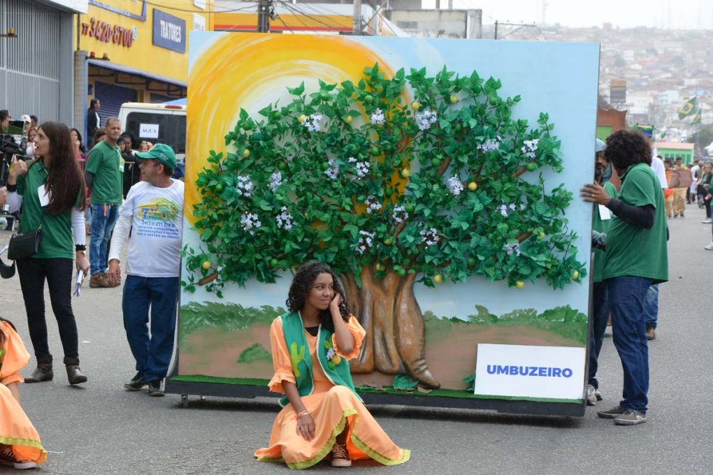 A Importância do Desfile para a Educação Cívica - inspiração 1