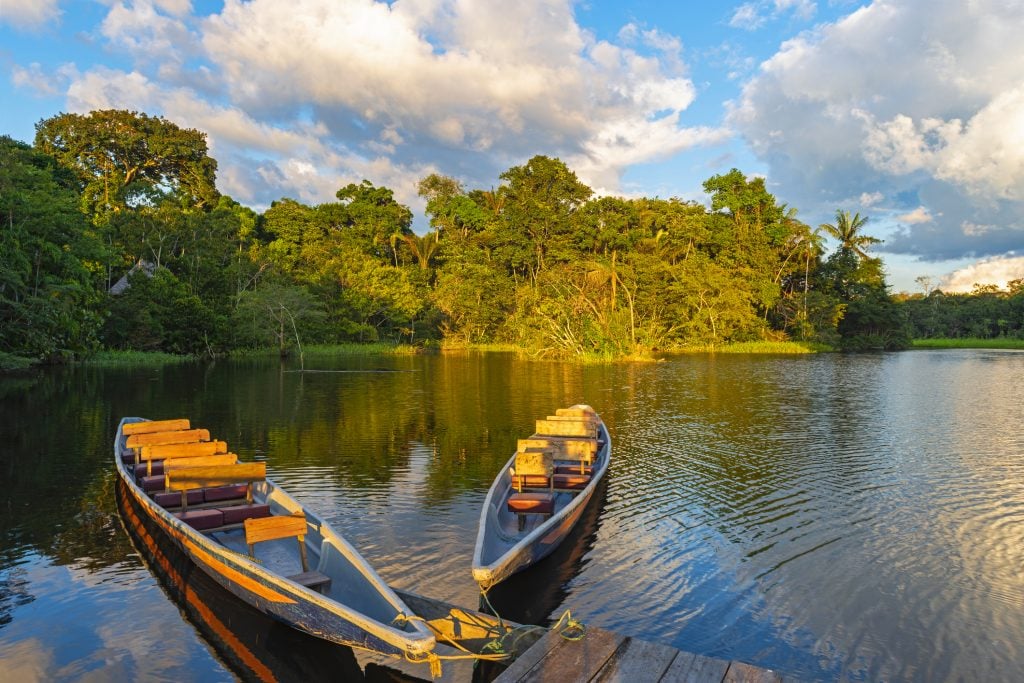 O Que É o Fundo Amazônia Exatamente? - inspiração 1