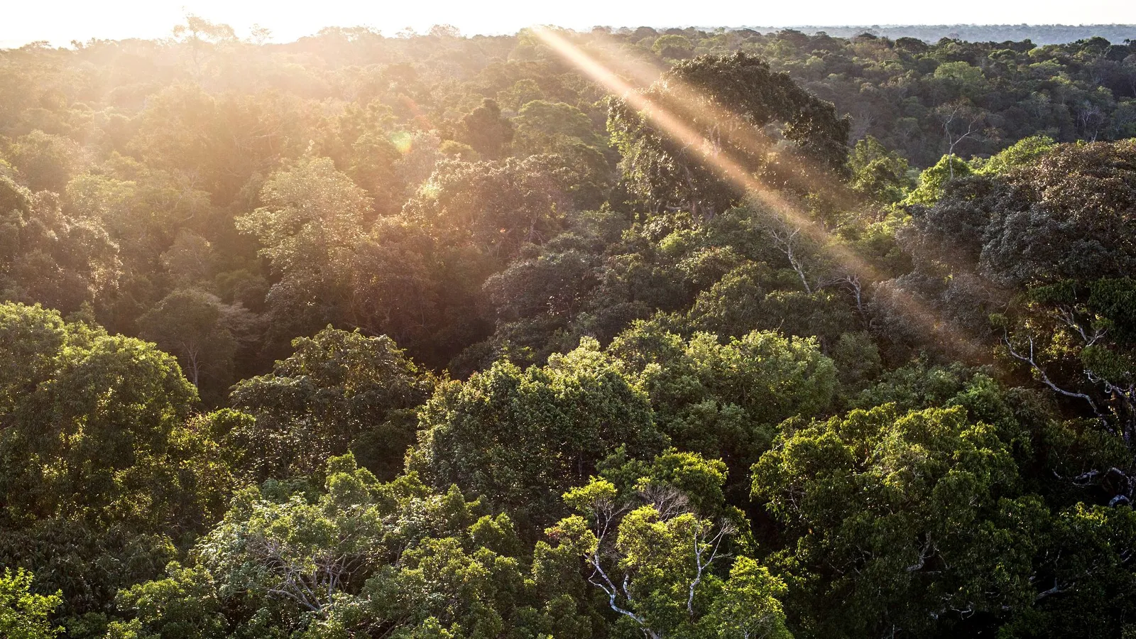 O Papel do Brasil na Gestão e Execução - inspiração 2