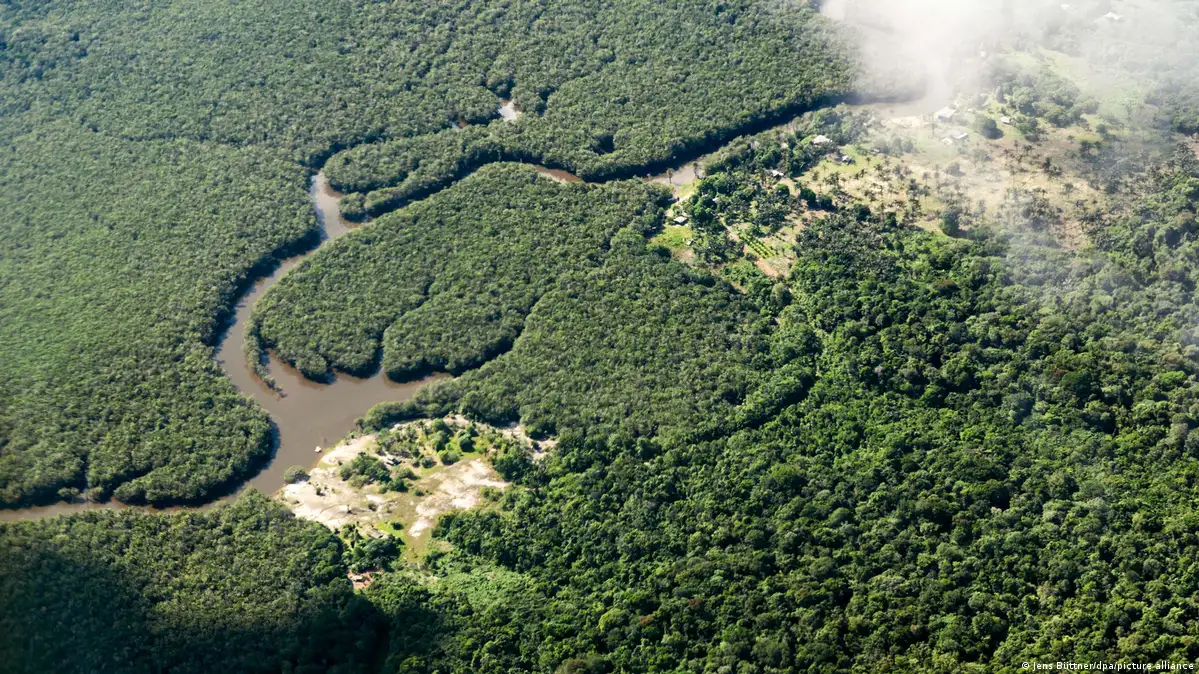 Os Objetivos Principais Por Trás da Criação - inspiração 1