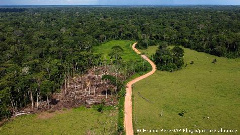 Os Objetivos Principais Por Trás da Criação - inspiração 2