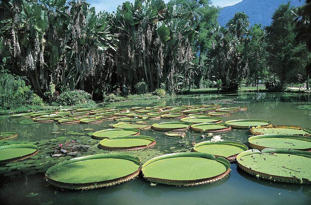 Quem Financia Essa Iniciativa Global? - inspiração 2