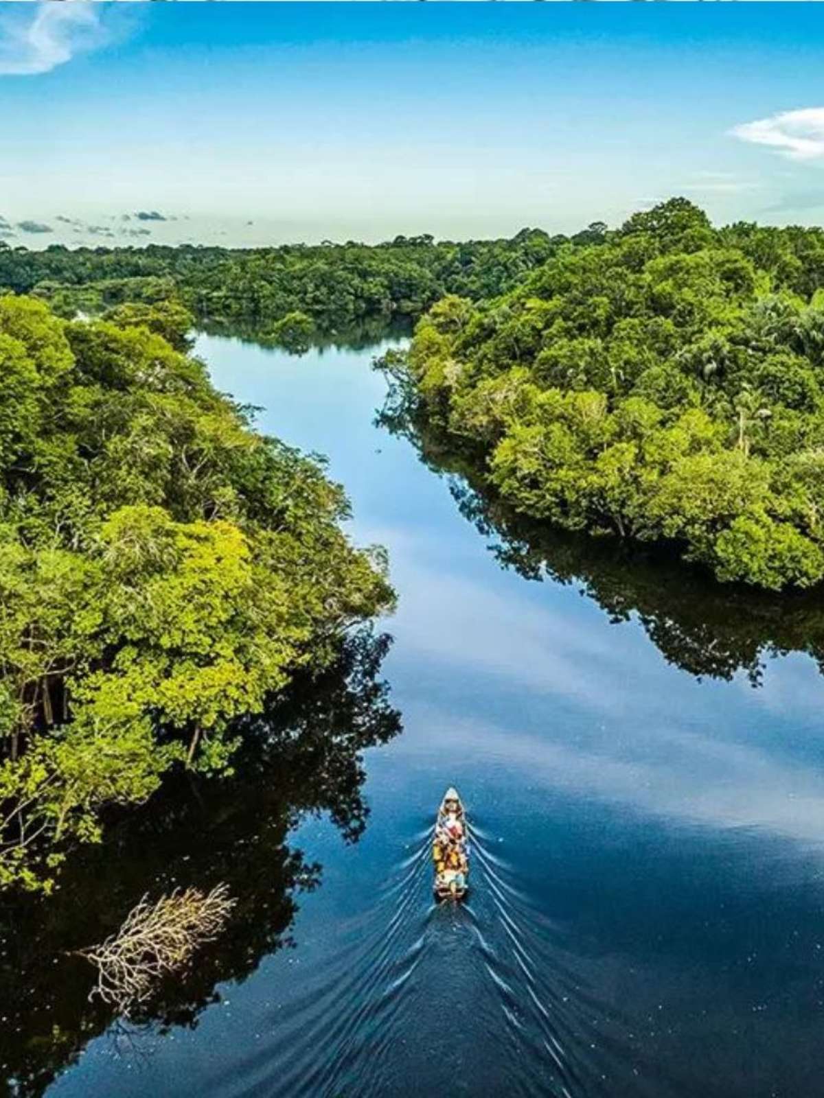 Como o Dinheiro Chega ao Brasil e É Utilizado? - inspiração 1