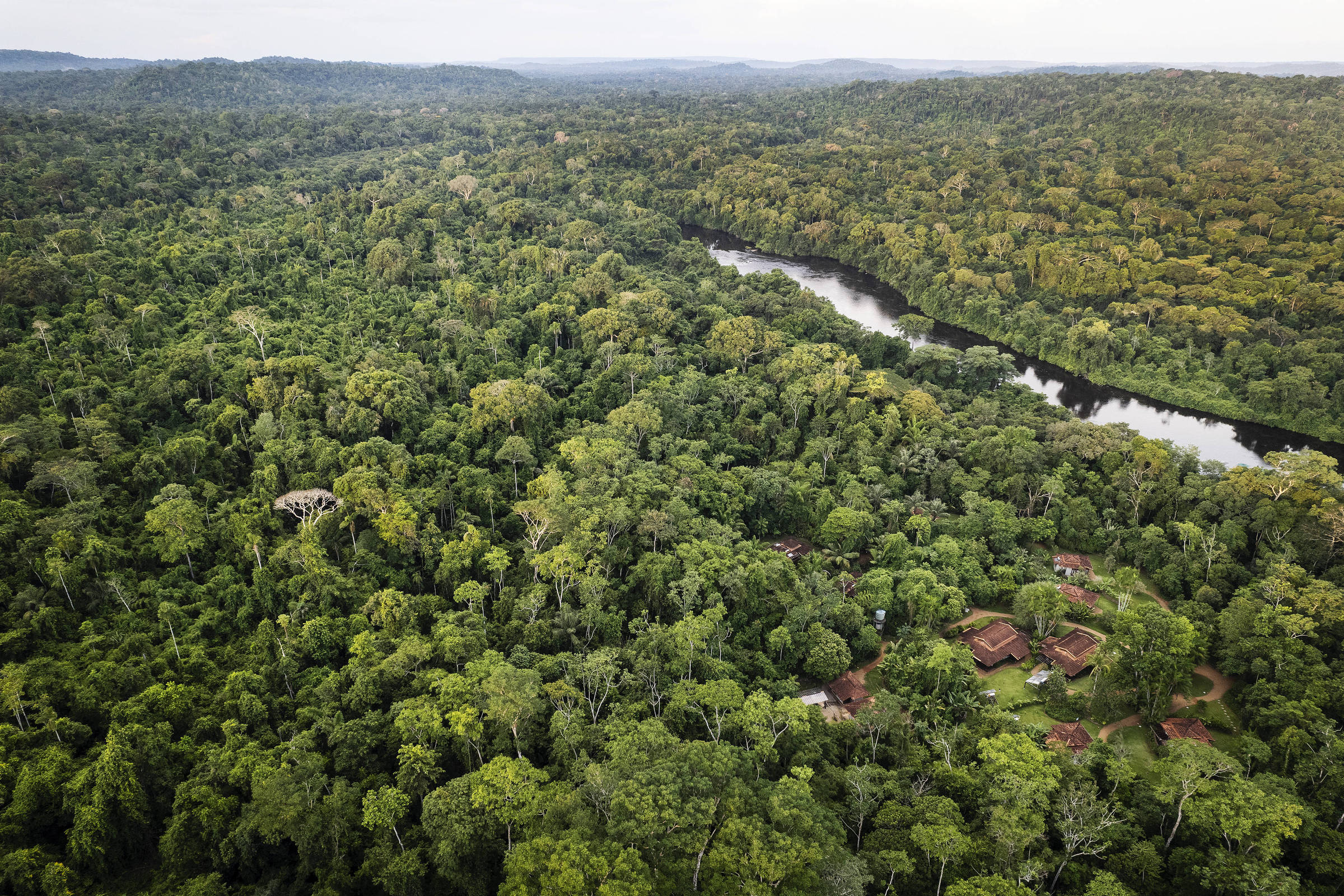 Como o Dinheiro Chega ao Brasil e É Utilizado? - inspiração 2