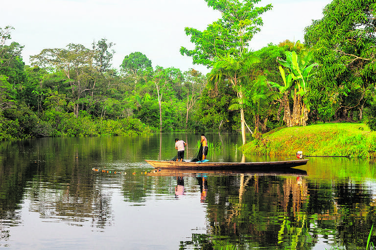 Benefícios Diretos para a Conservação da Floresta - inspiração 2