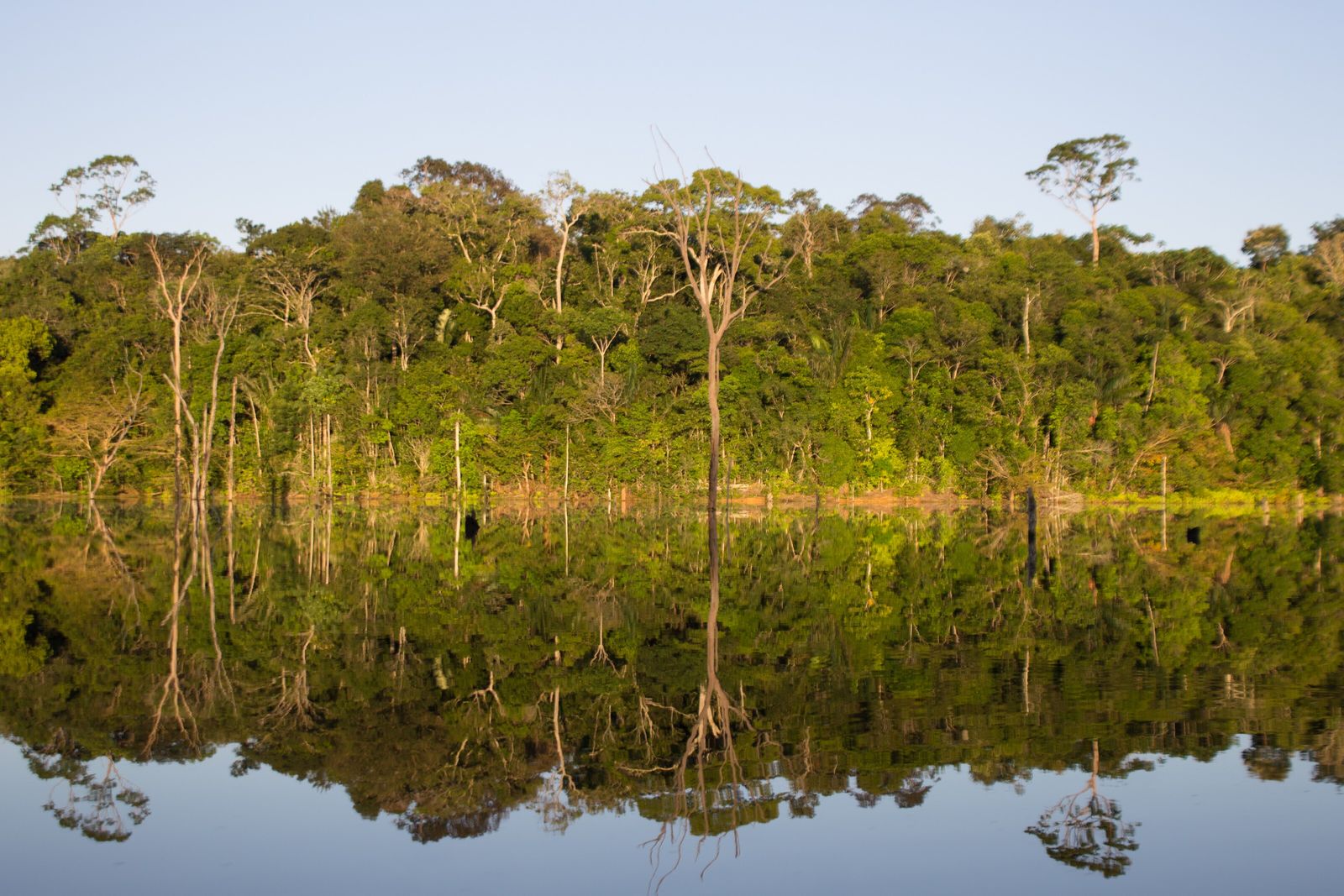 Desafios e Críticas ao Modelo do Fundo - inspiração 1