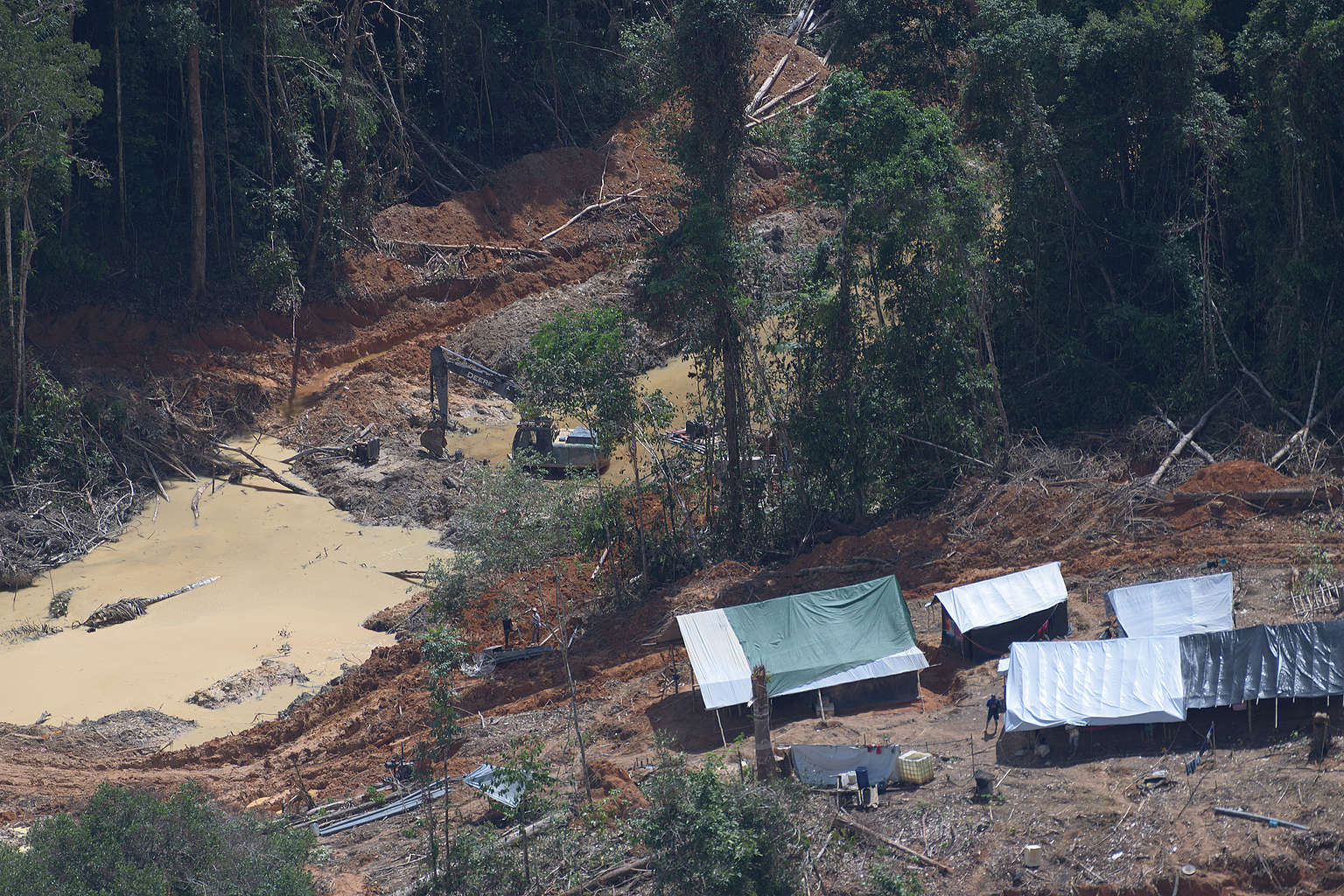 O Papel das Mulheres Indígenas na Resistência - inspiração 2